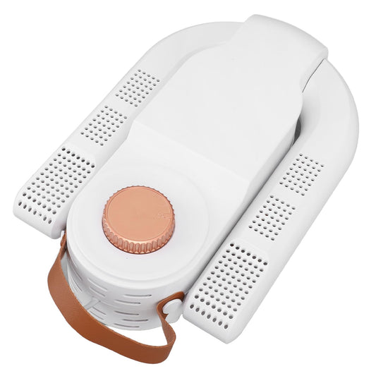 Electric shoe dryer